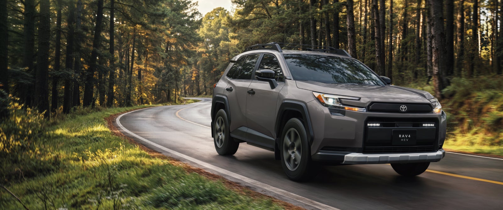 Rav 4